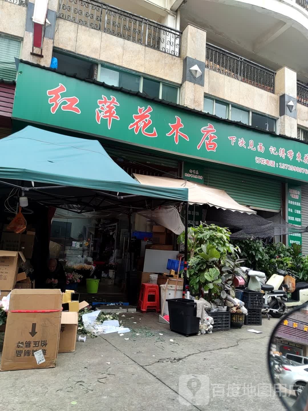 红萍花木店