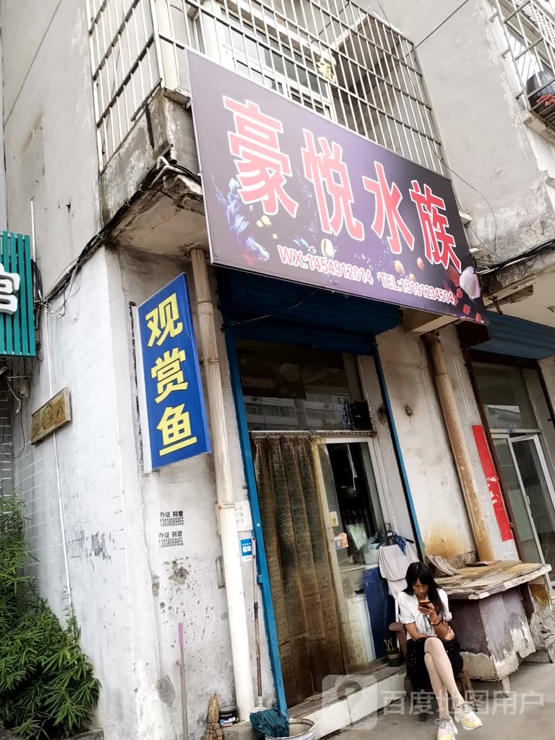 豪悦水族(沁园新区店)