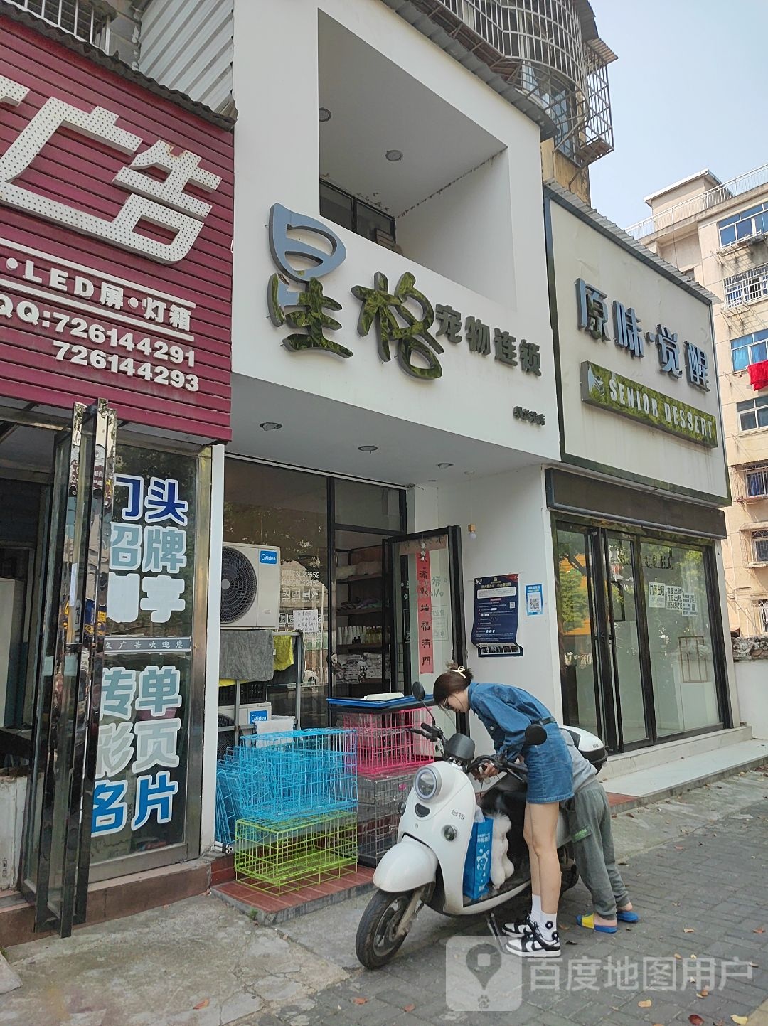 星格宠物连锁(螺丝港店)