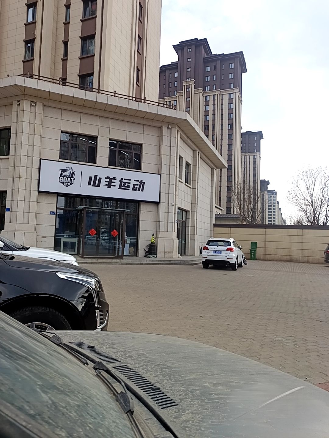 山羊运动
