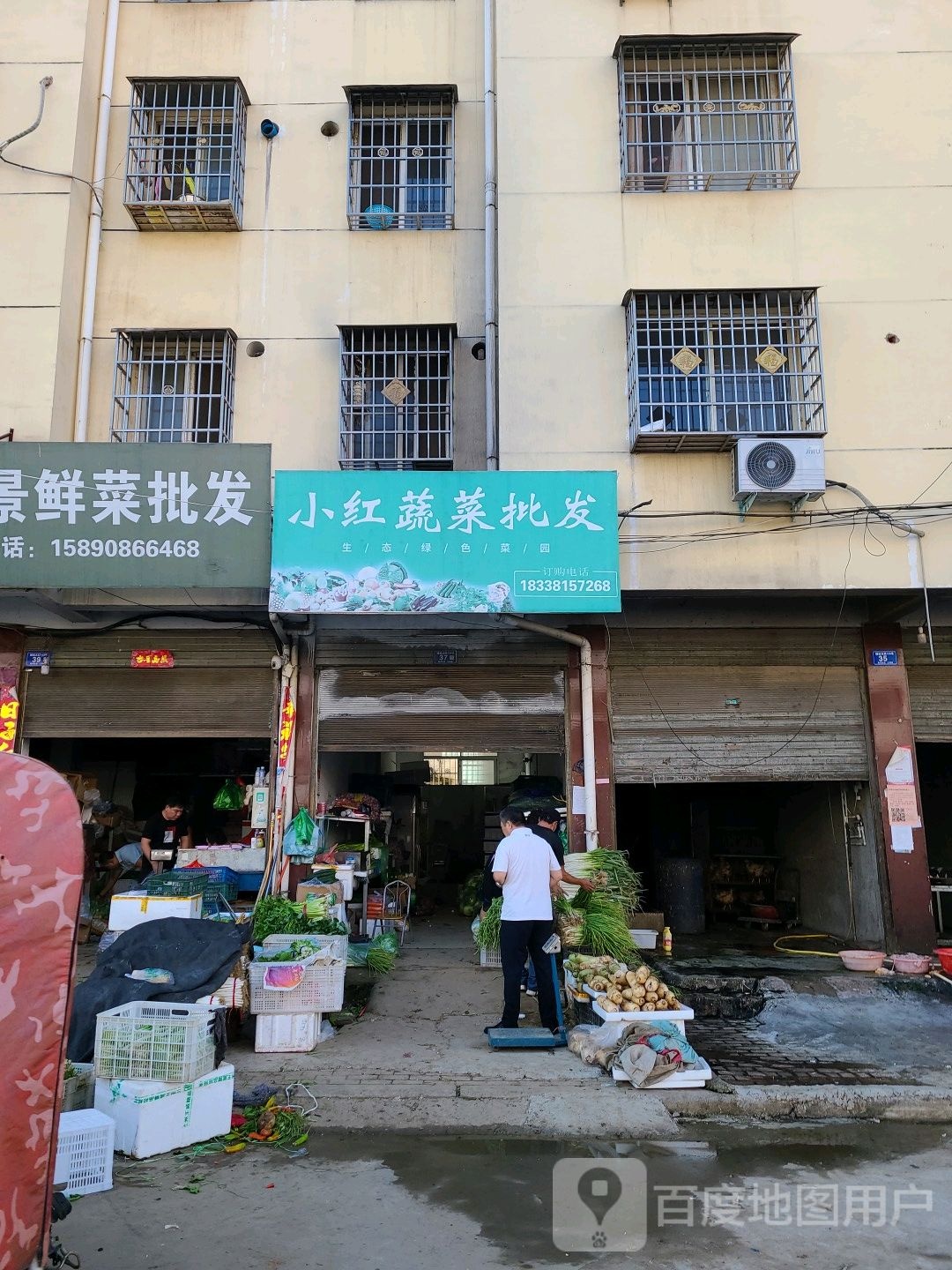 邓州市小红蔬菜批发