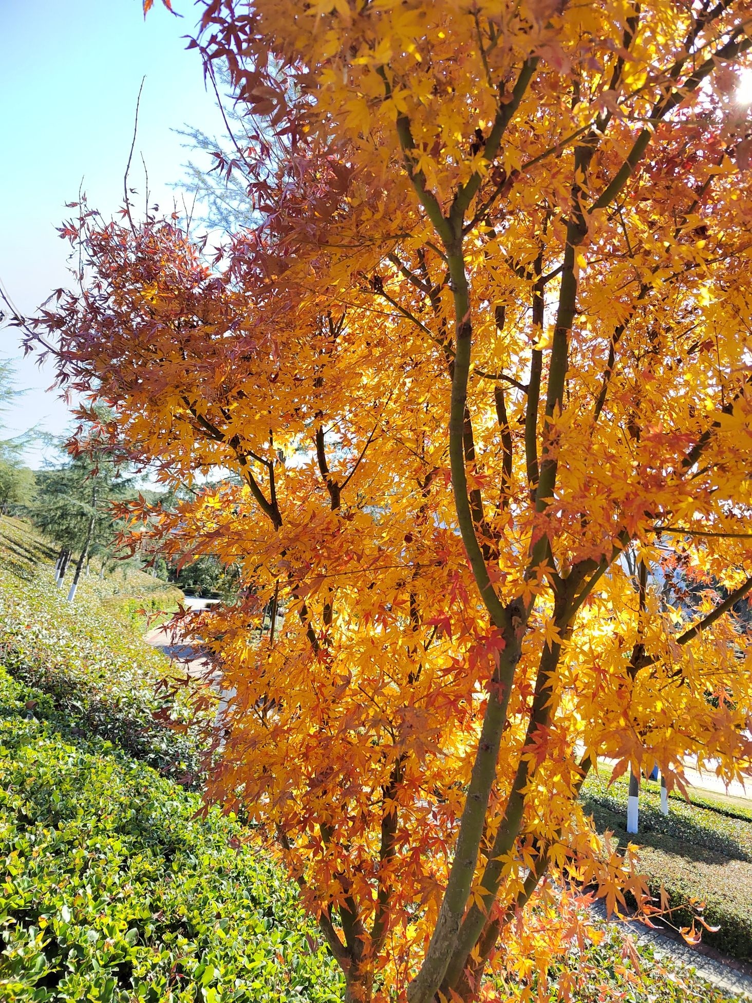 黄岗山公园