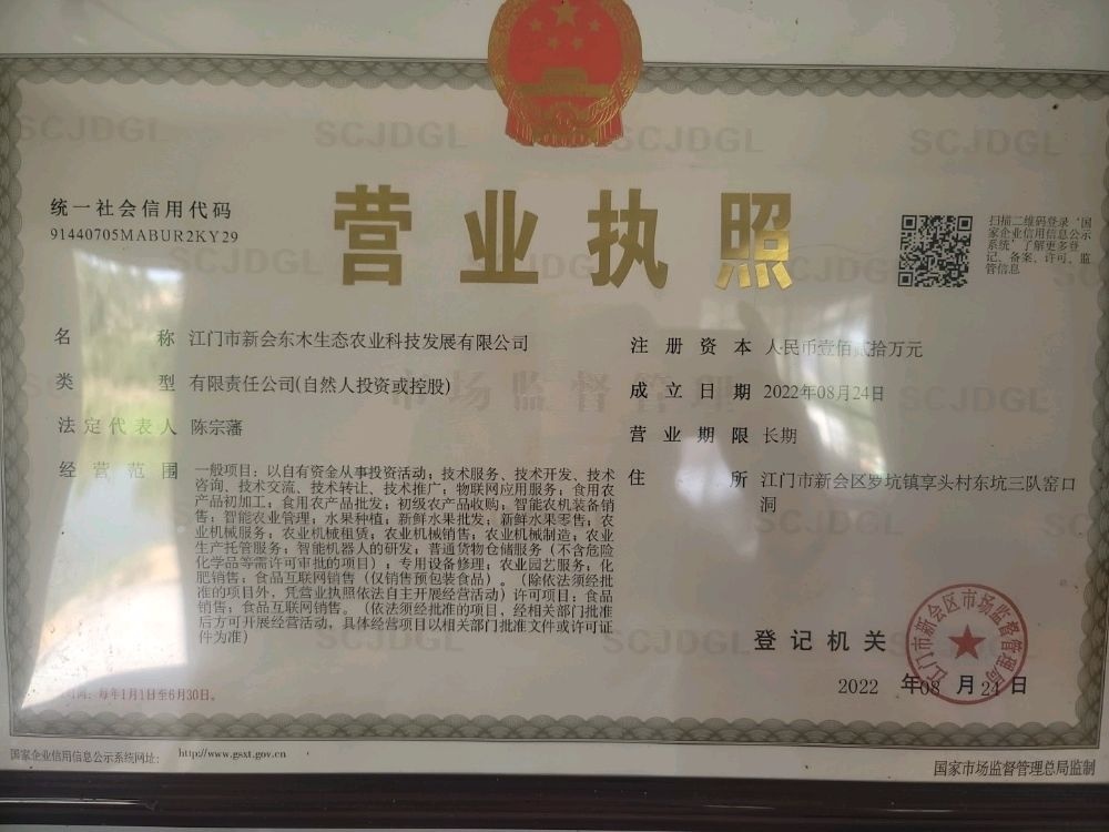 江门市新会东木得生态陈皮园