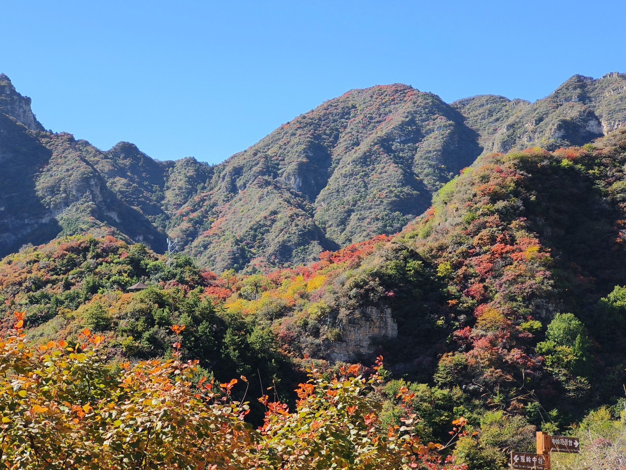 白银坨风景区
