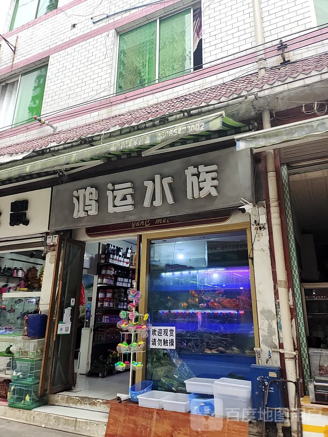 鸿运水族