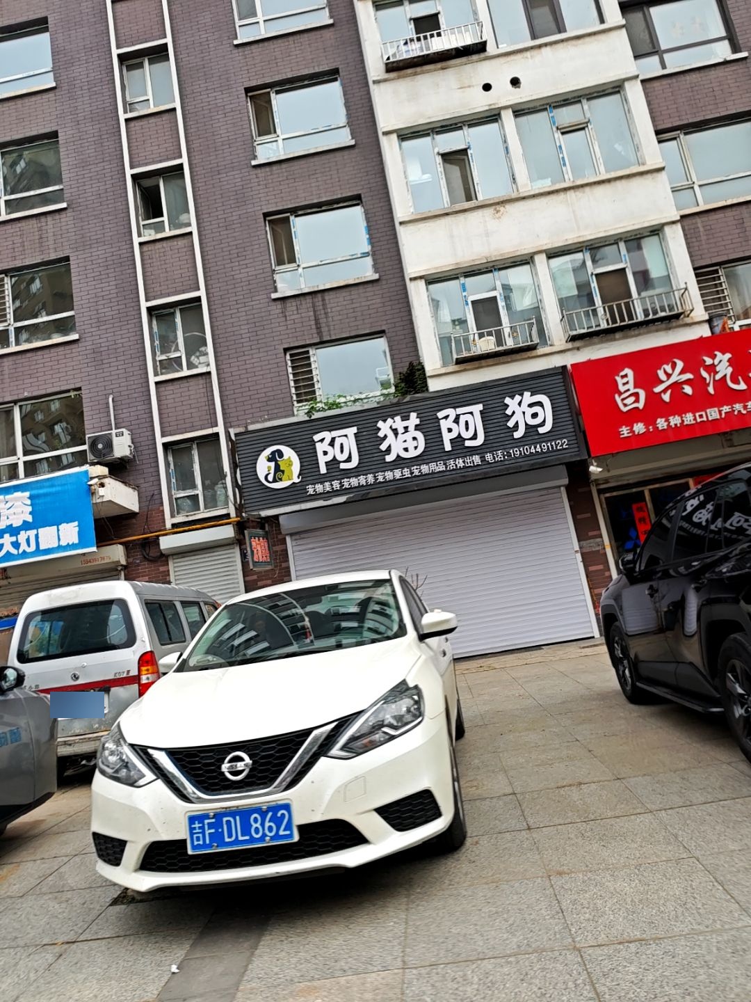 阿猫阿狗宠物店(卫国小区店)
