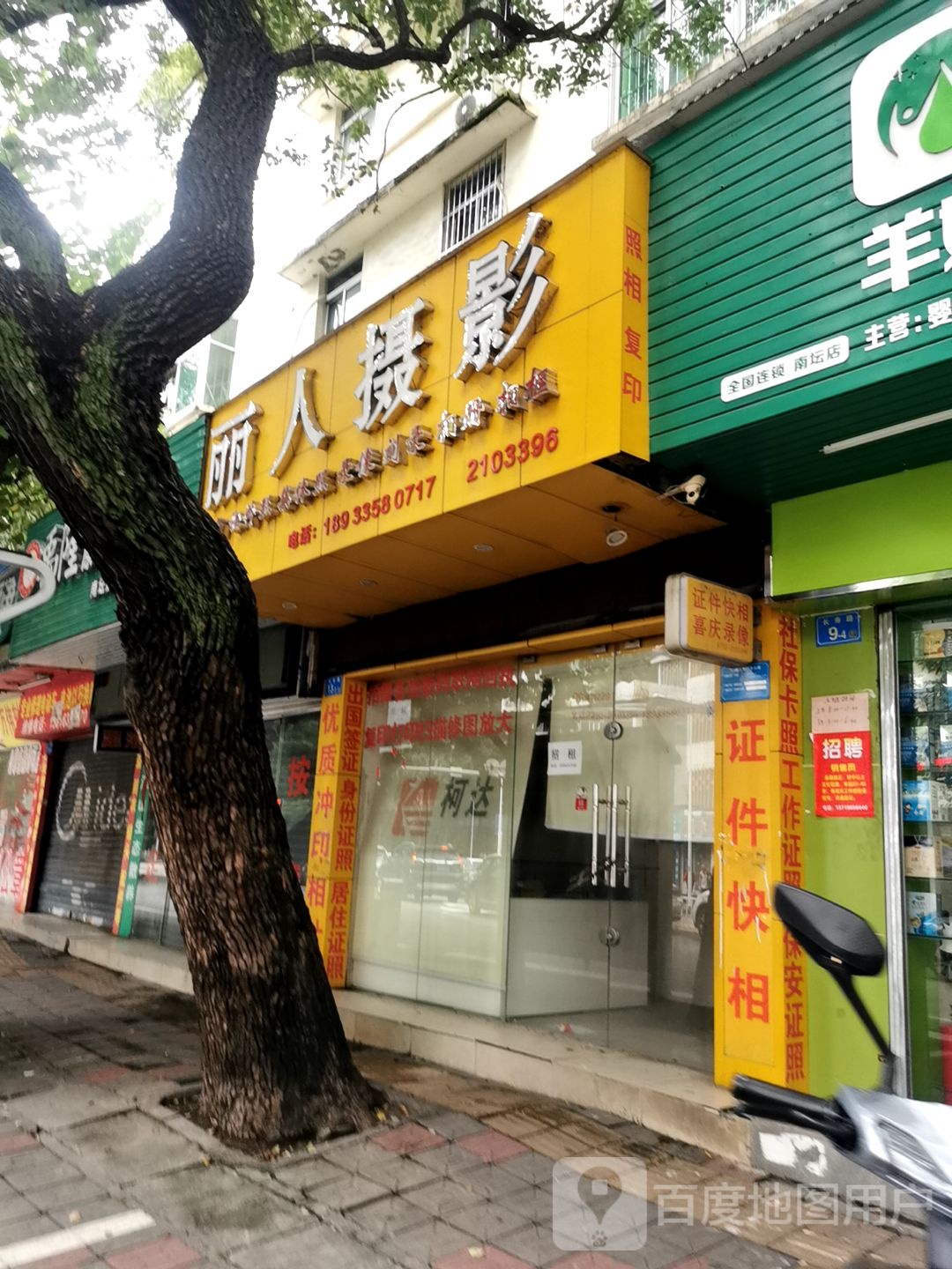 丽人舌蝇(长寿路店)