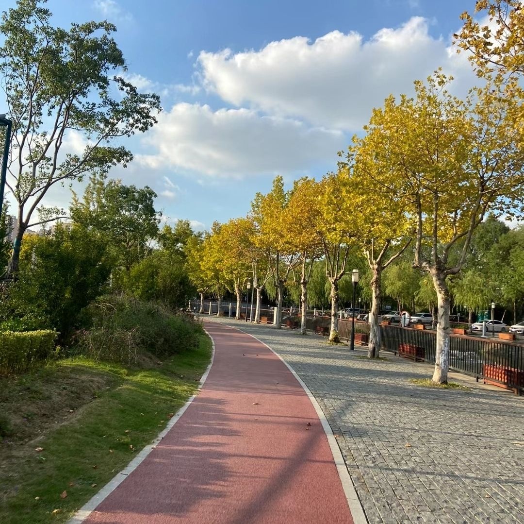 小马公园