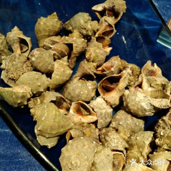 银丰华美大酒店-全日自助餐厅