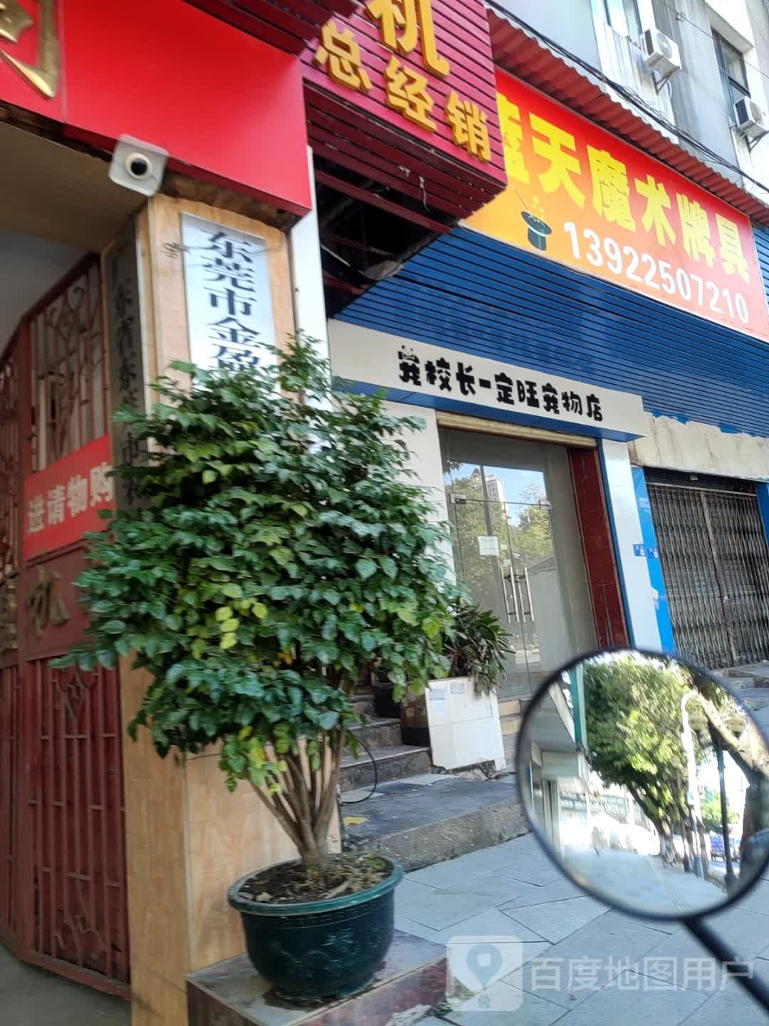 宠校长一定旺宠物店