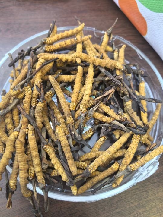 聚酒轩老酒收藏回收名酒老酒虫草