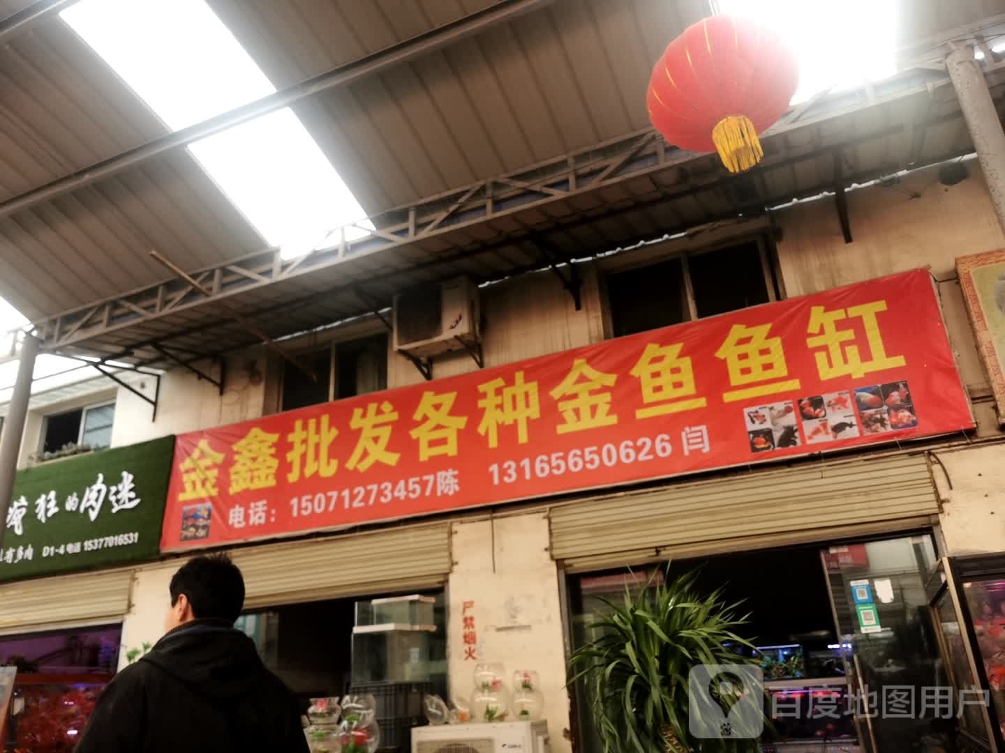 金鑫批发各种金鱼鱼缸
