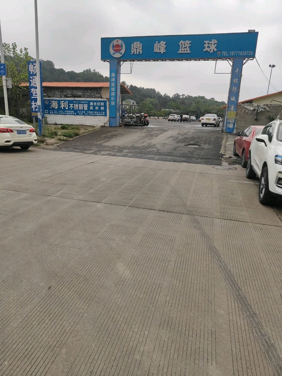 鼎峰篮球