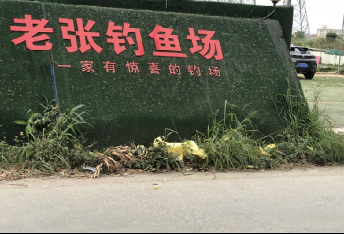 老张钓鱼场