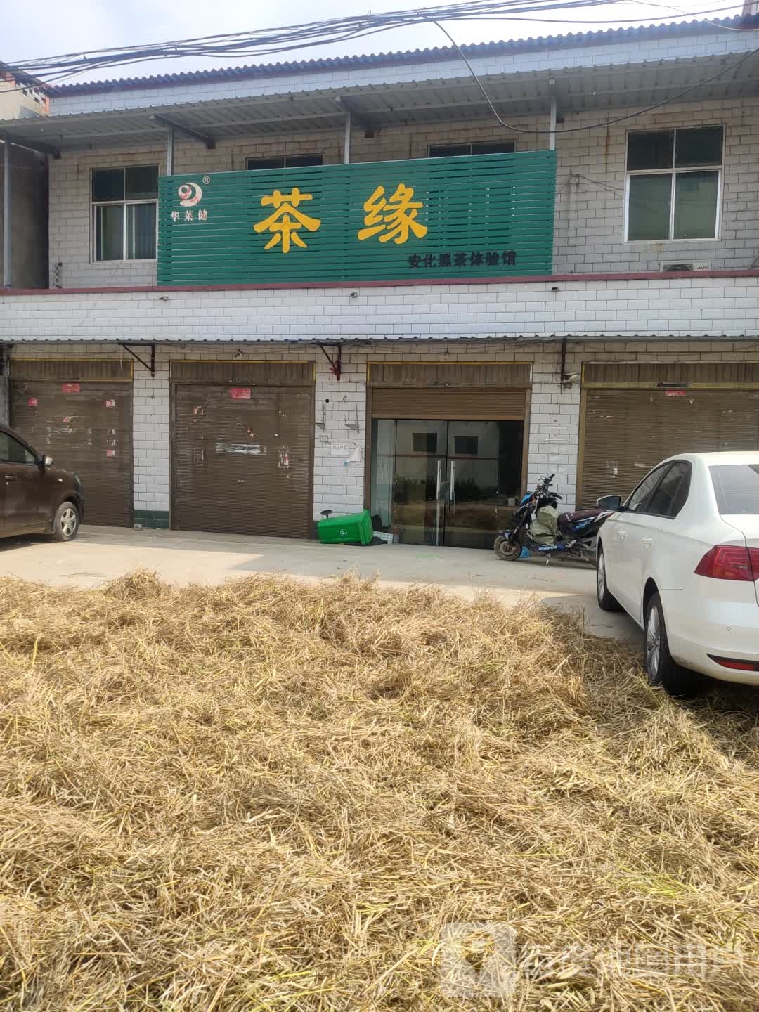 茶缘