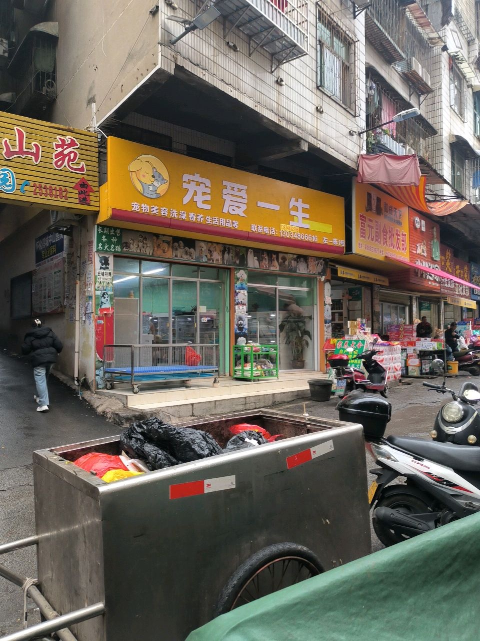 宠爱一生宠物美容
