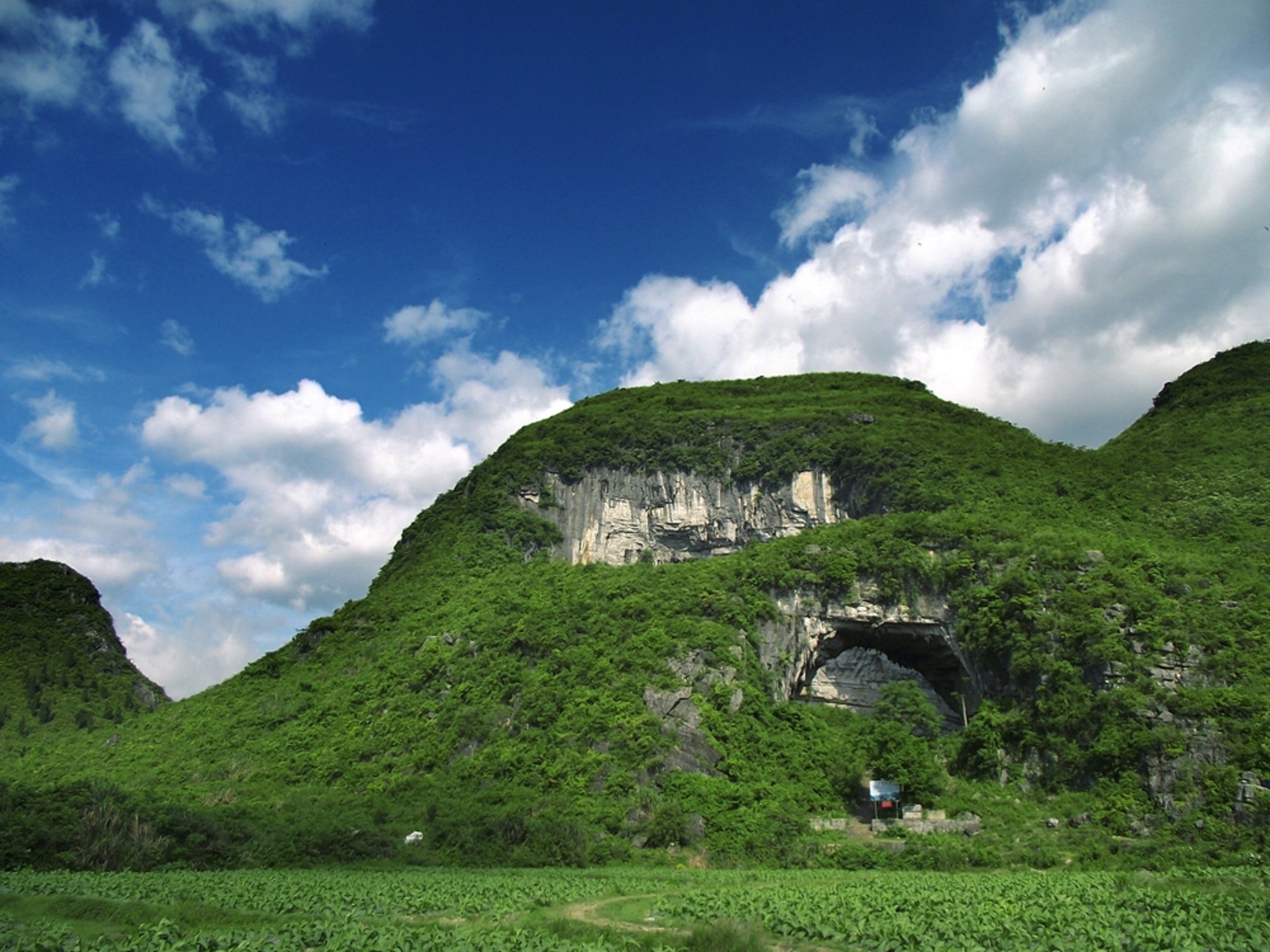 月岩国家森林公园