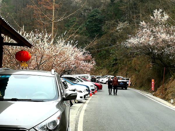 四川省绵阳市平武县平通羌族乡桅杆坪