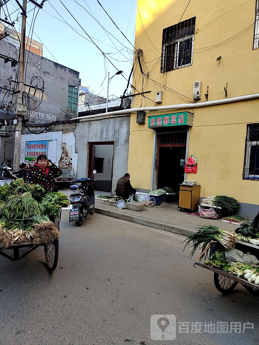 老陈鲜菜店