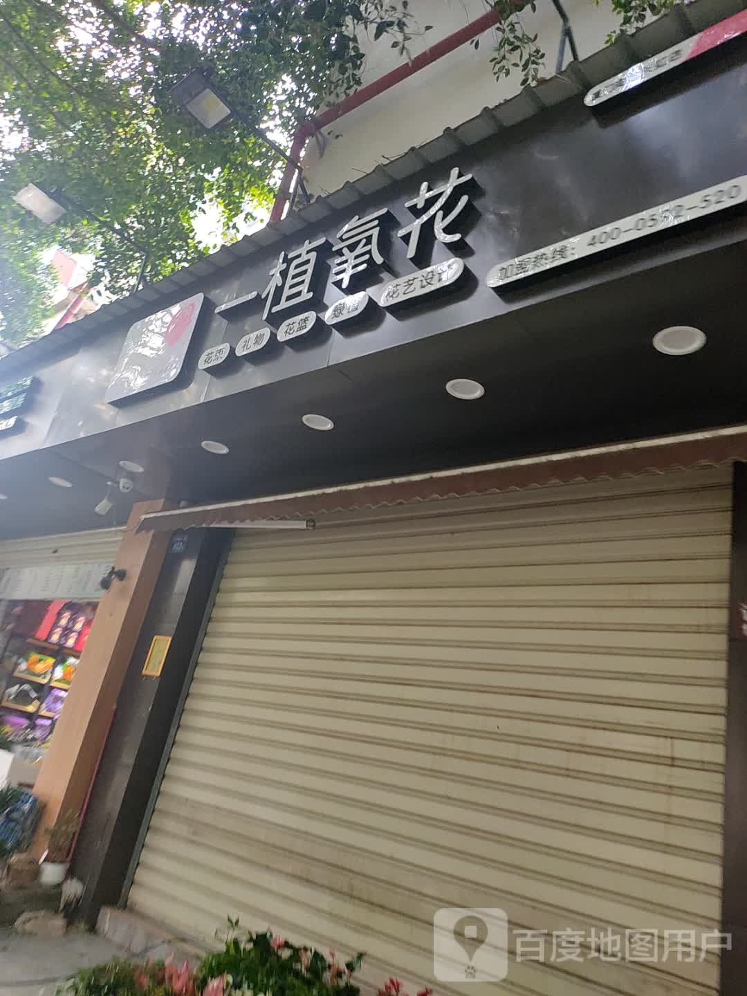 一植氧花(厦门海沧天虹店)