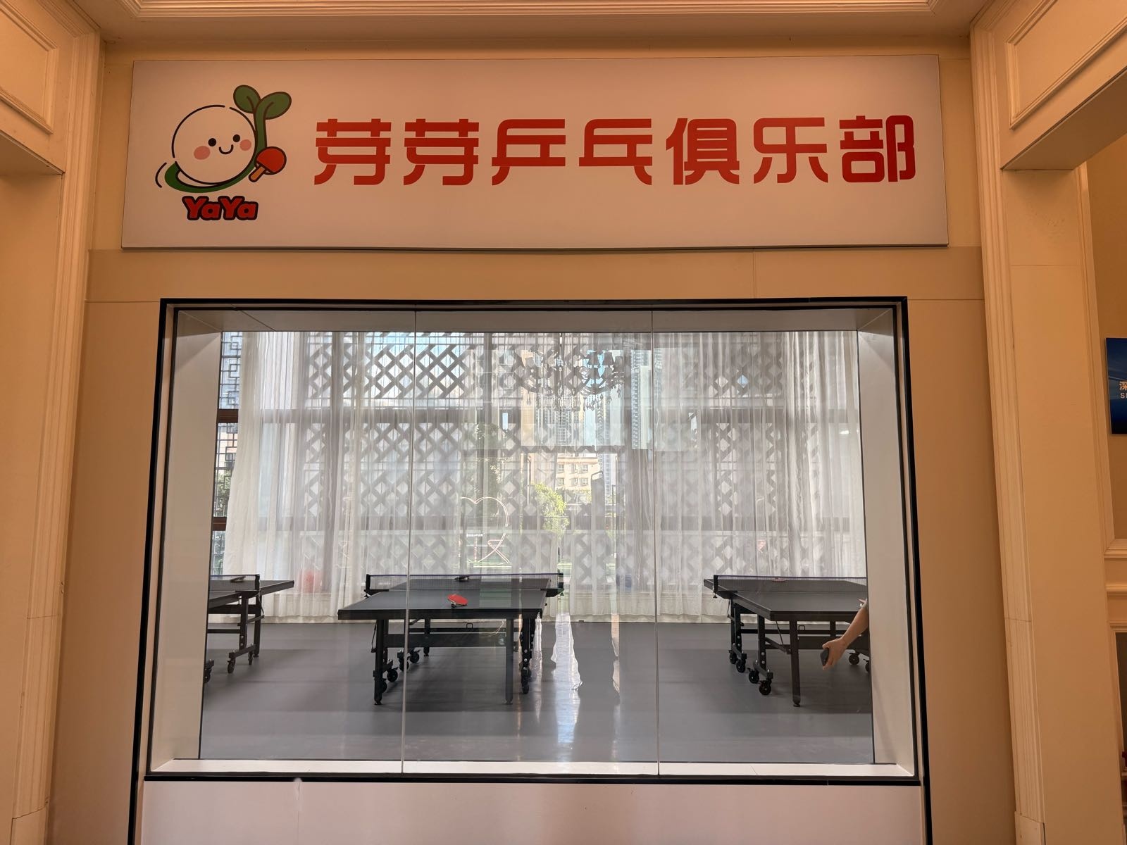 芽芽乒乓俱乐部