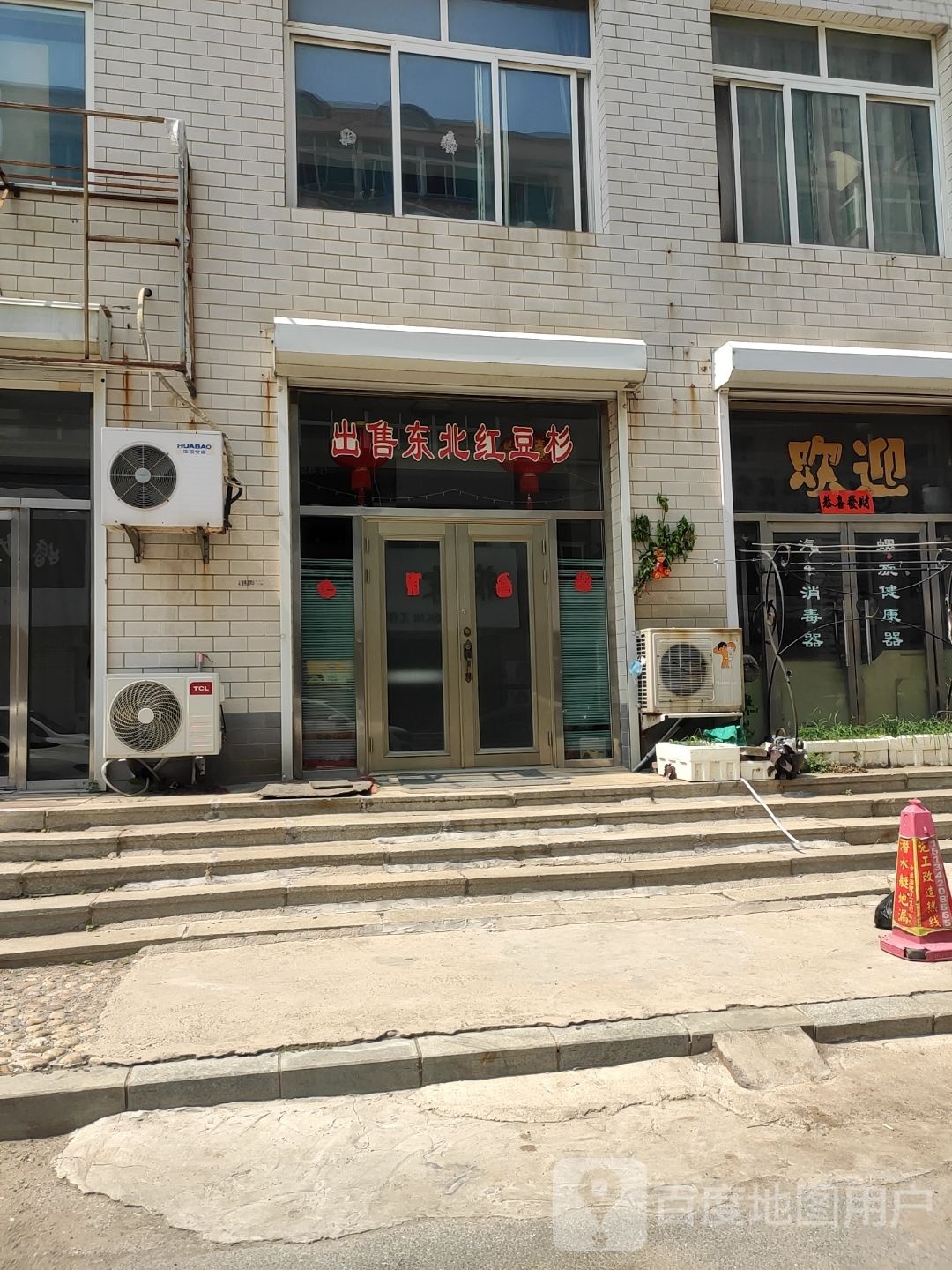 出售东北红豆杉