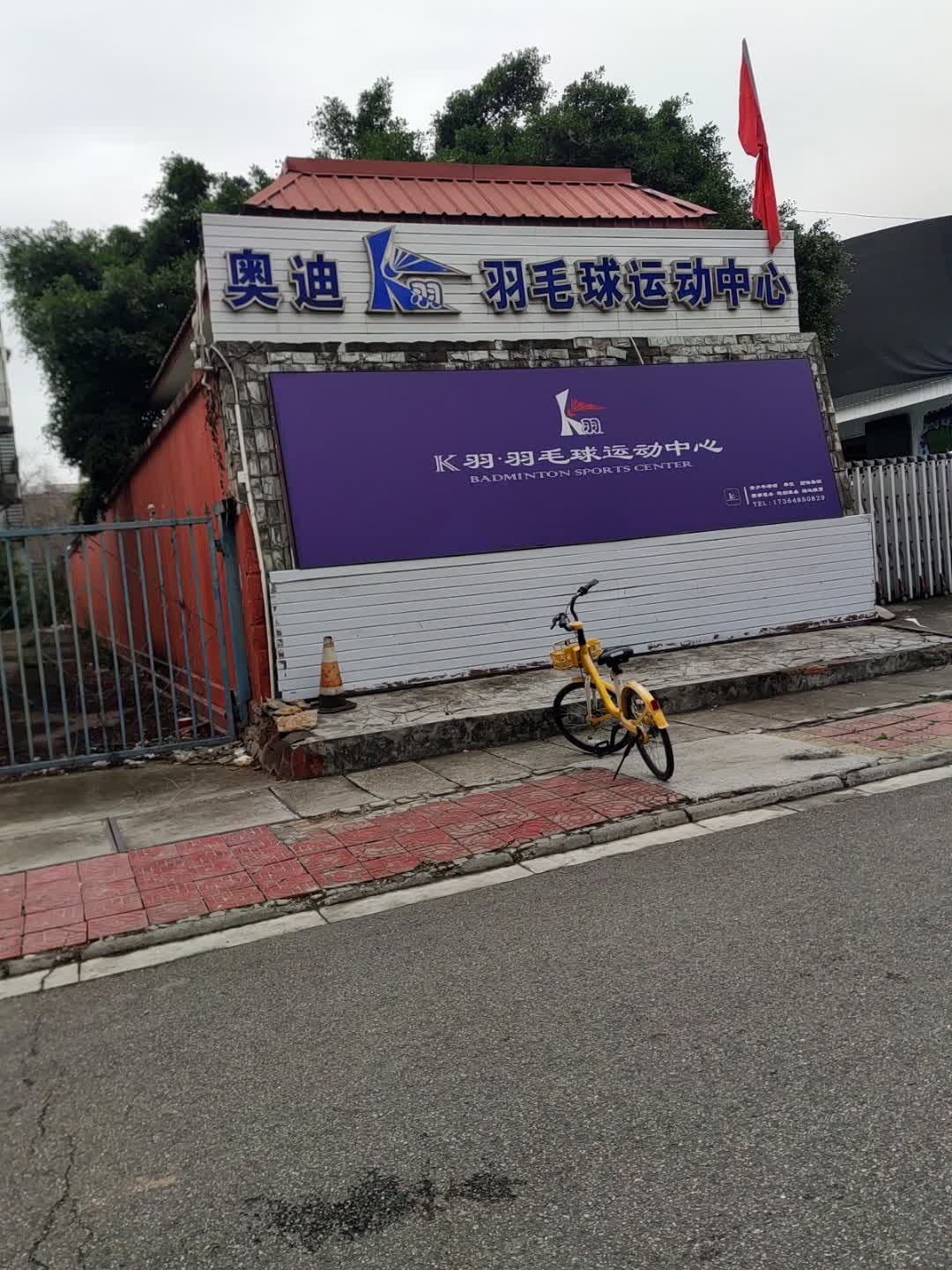 奥迪羽毛球运动中心(翠湖街店)
