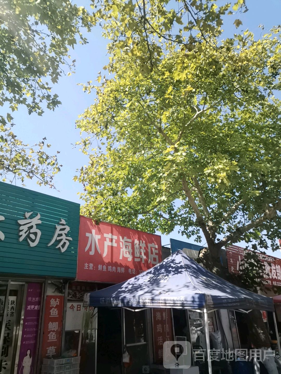 水产海鲜店