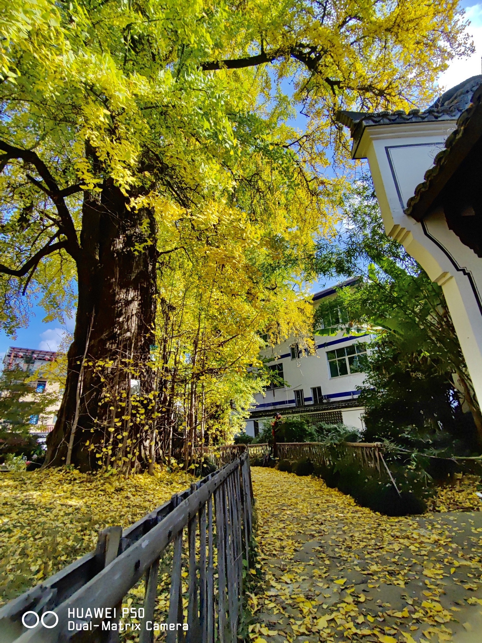 桐庐江南古村落