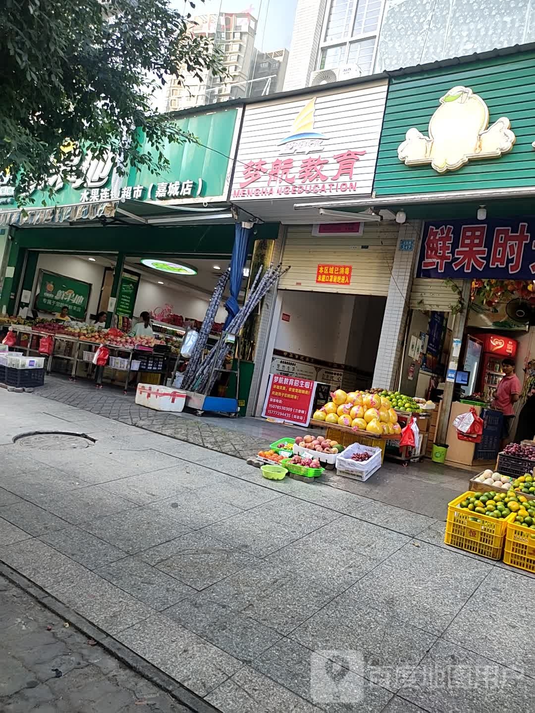 鲜果地水果连锁超市(嘉城店)