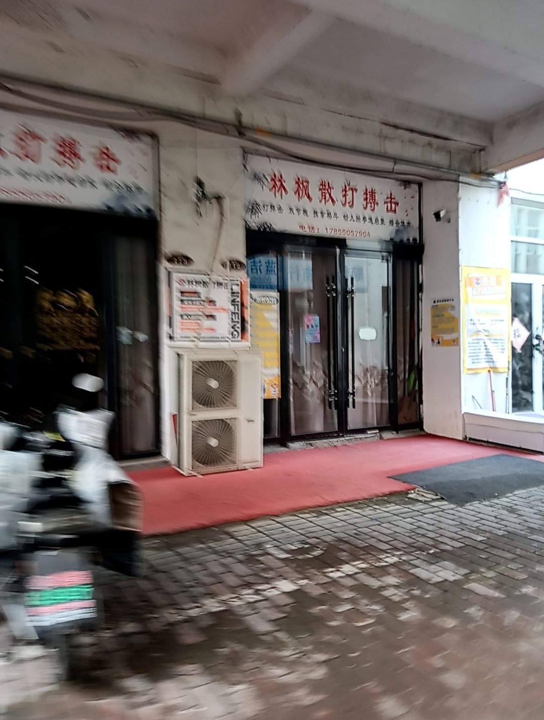 林枫散打搏斗
