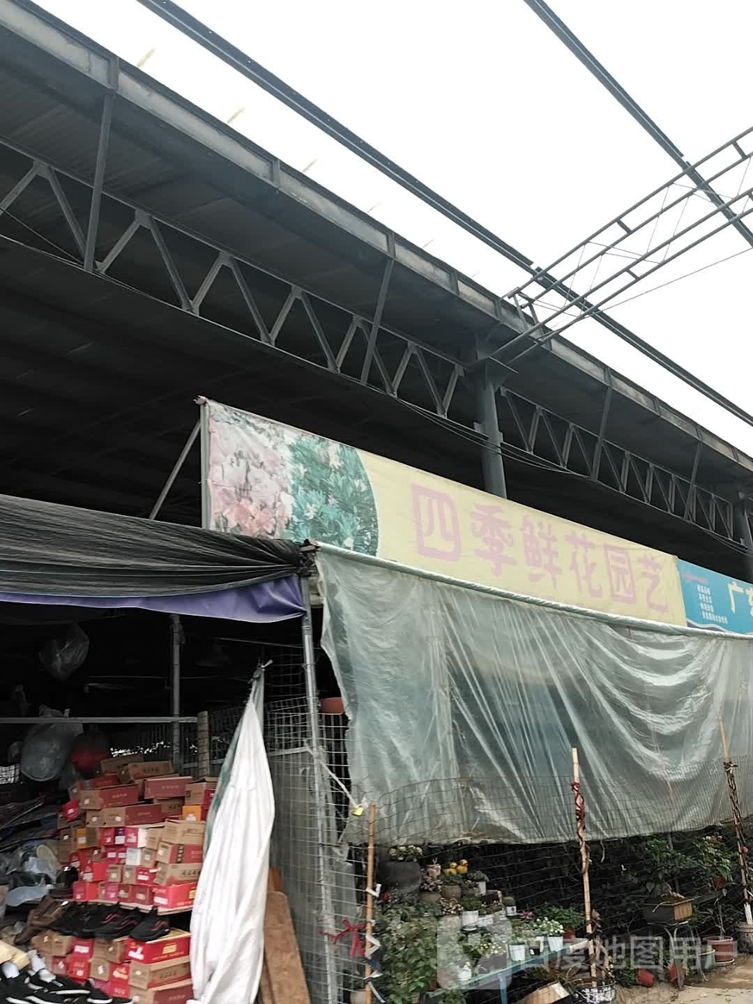 四季鲜花园艺(三里花卉宠物市场店)