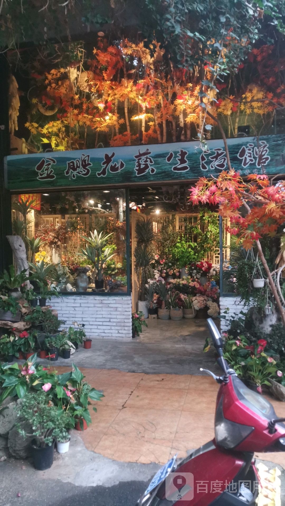 金鹏花艺生活馆