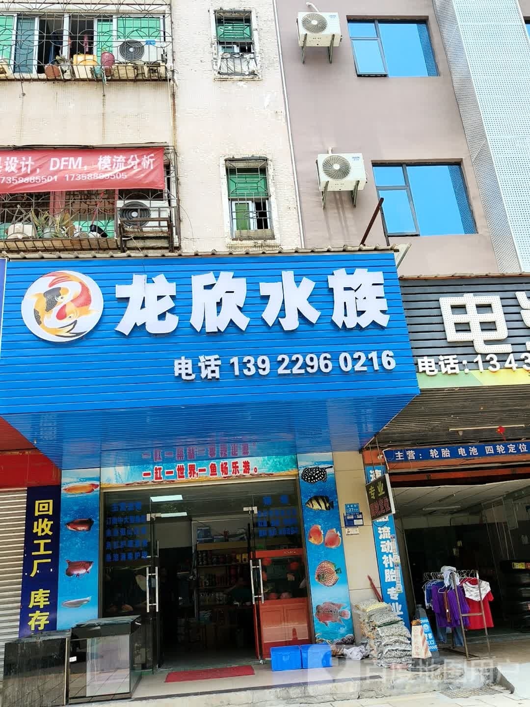 龙欣水族