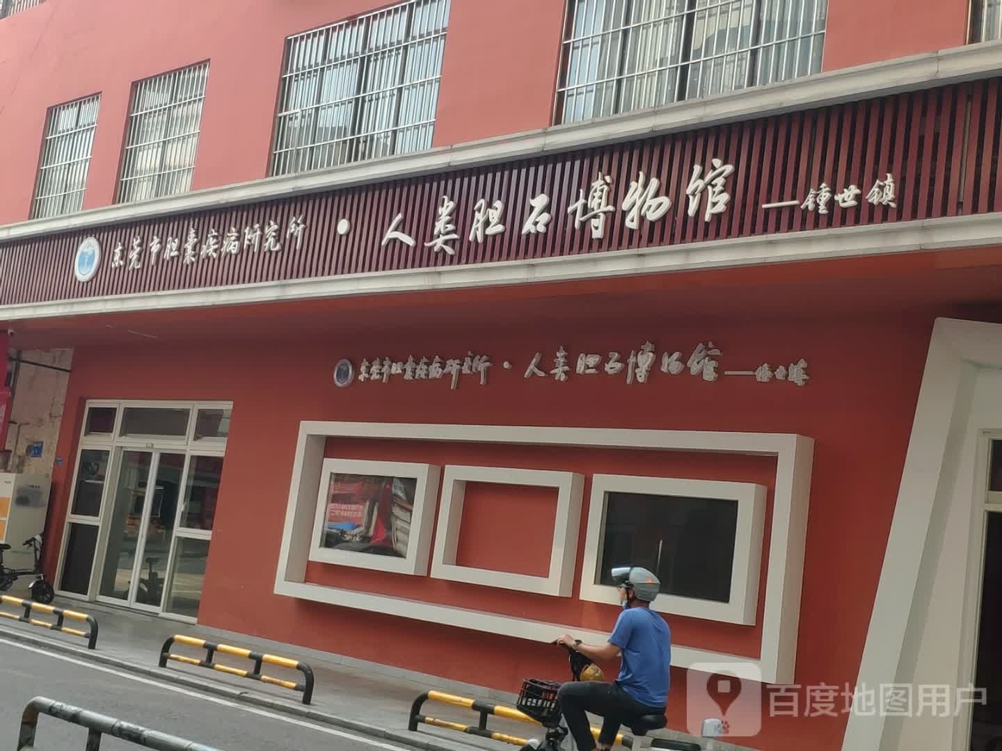 人类胆石博物馆