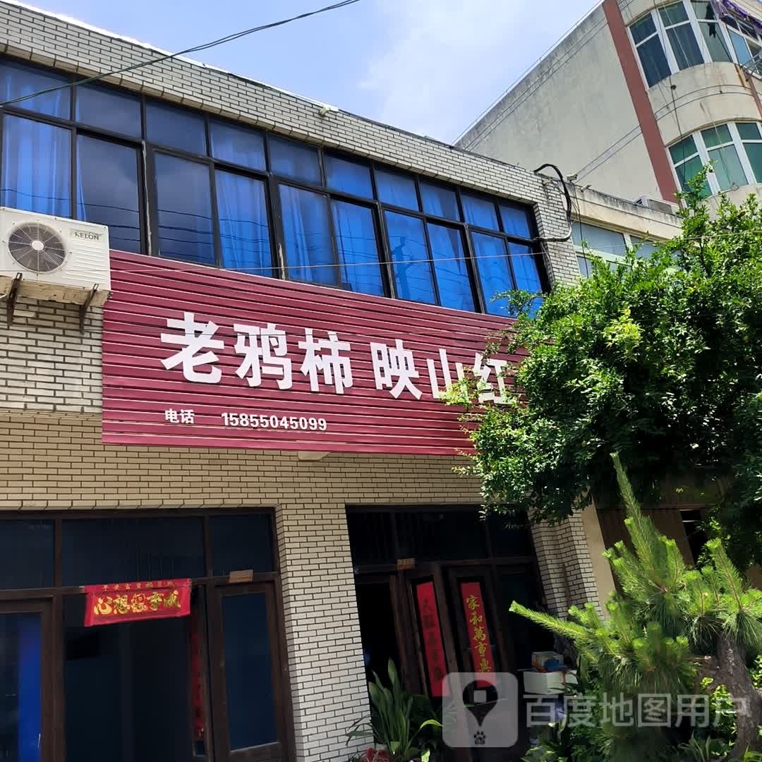 老鸦柿映山红