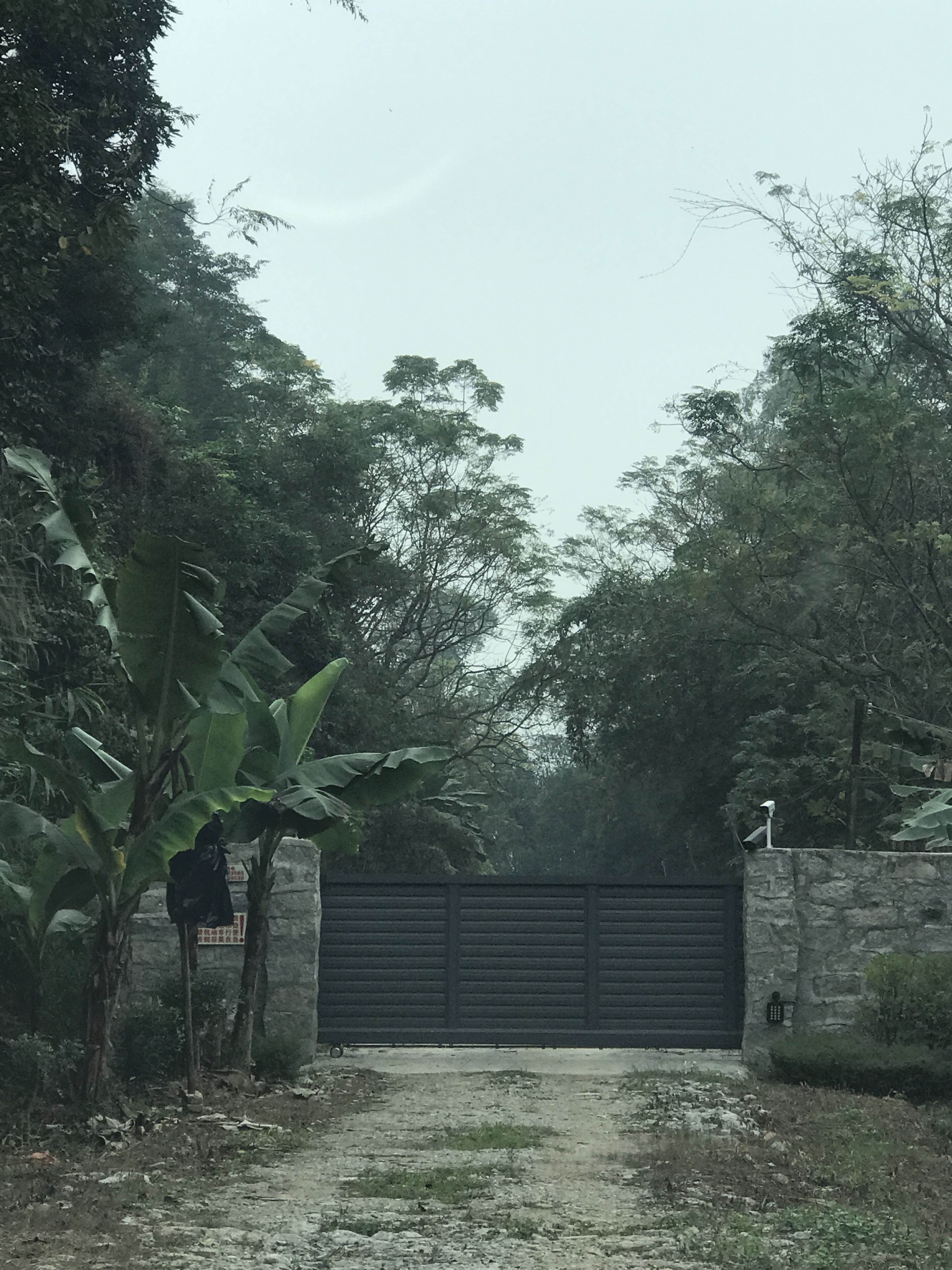 水母塘乡间民宿