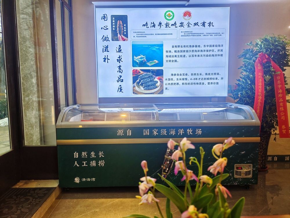 清海湾有机野生海参(旗舰店)