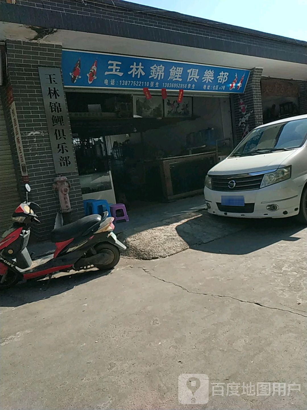 玉林锦鲤俱乐部