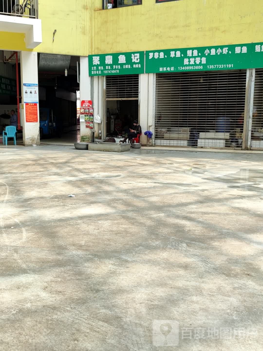 聚鼎鱼记