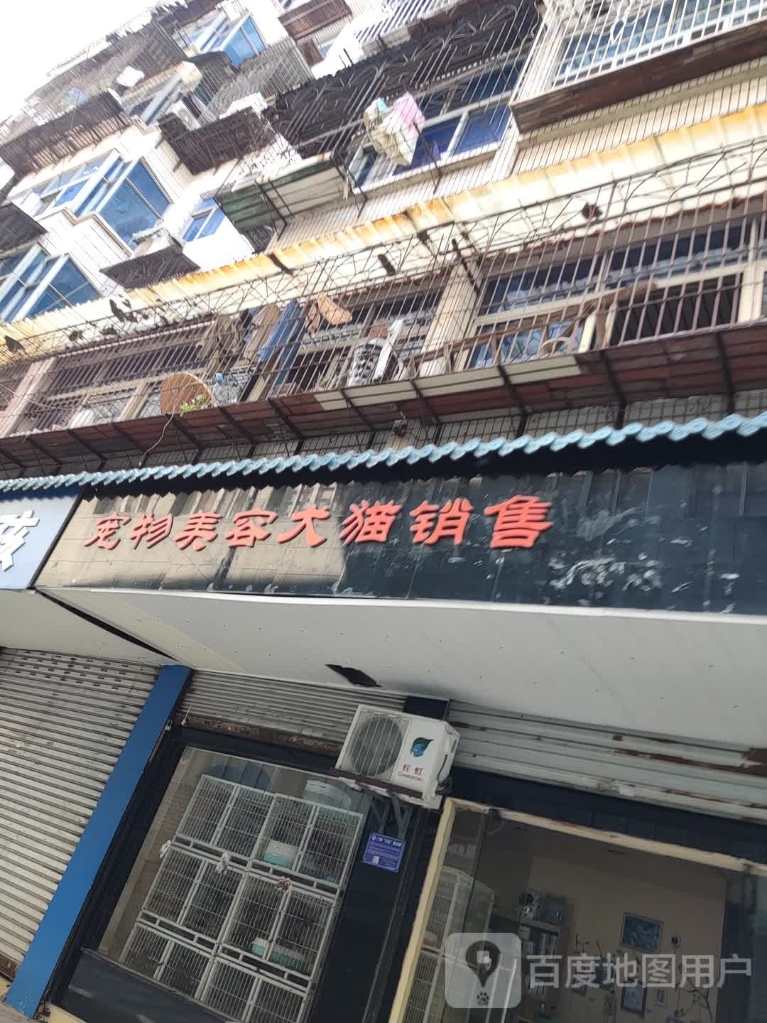 宠物美容犬猫销售(上饶店)