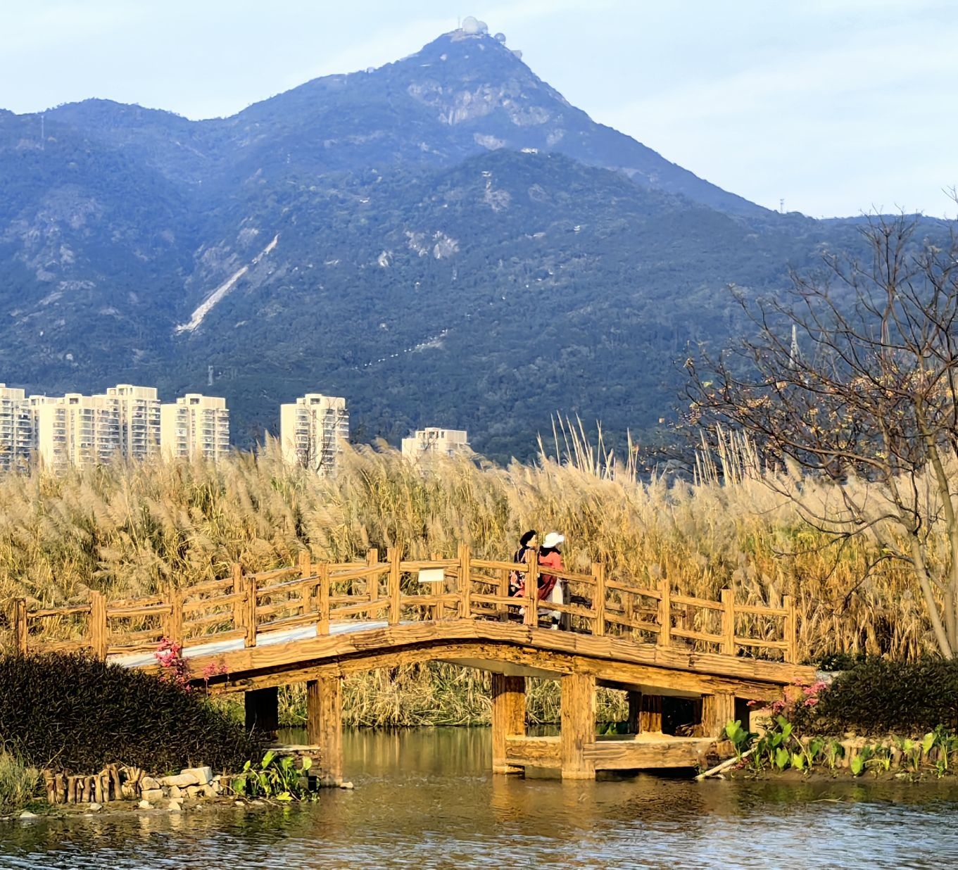 福州花海公园