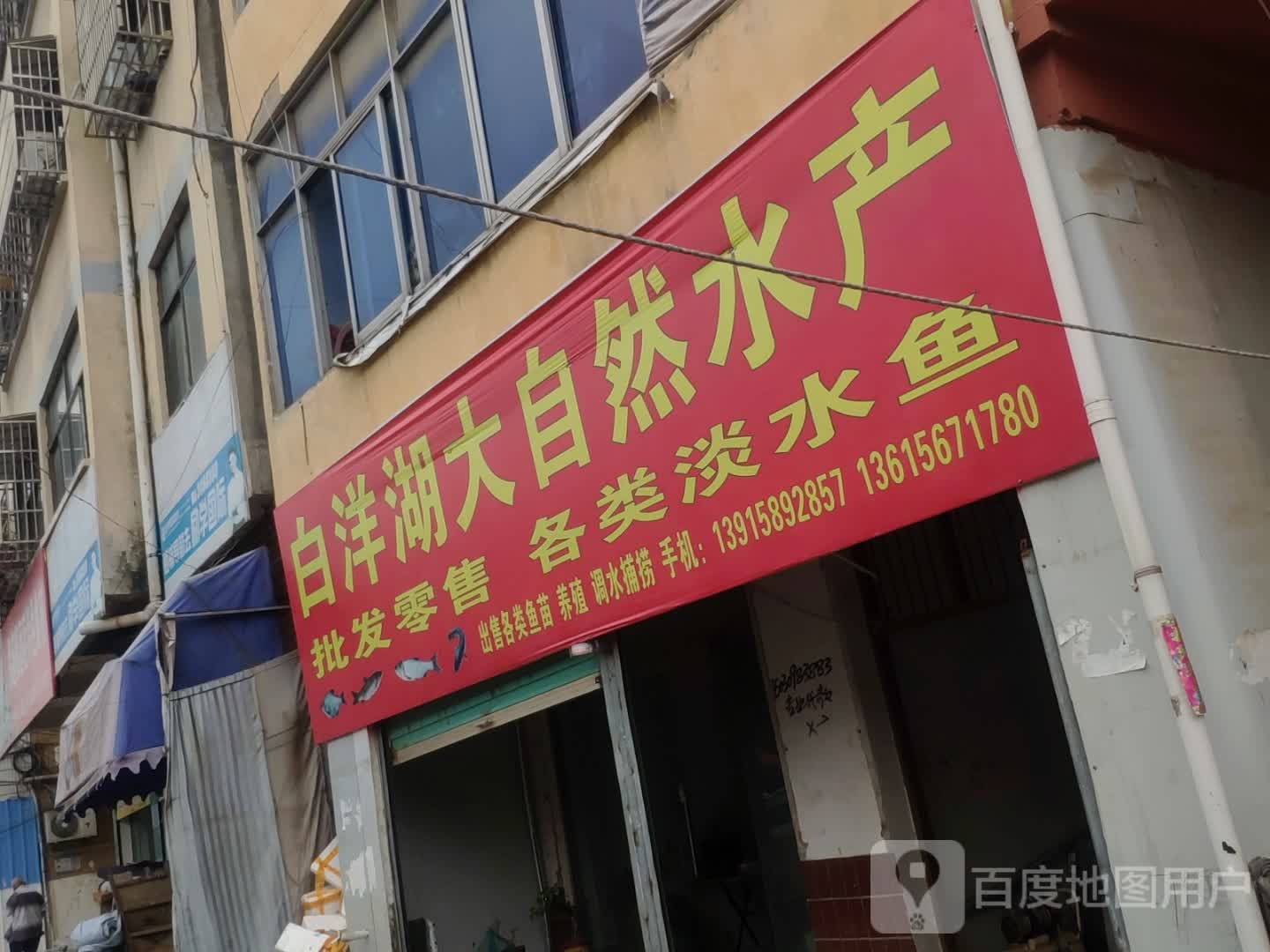 白洋湖大自然水产