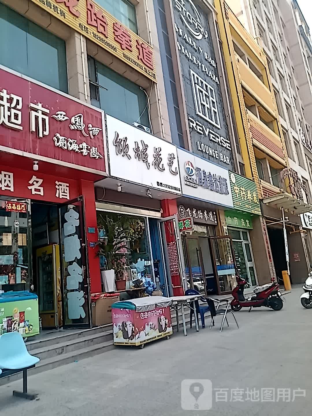 龙跆拳道(洪洋商业广场店)