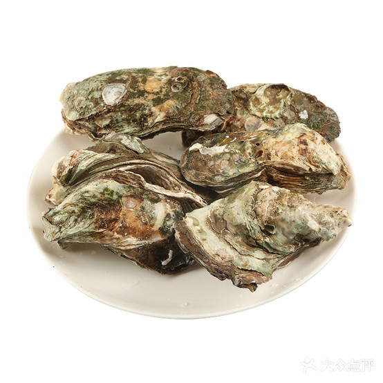 启航海鲜