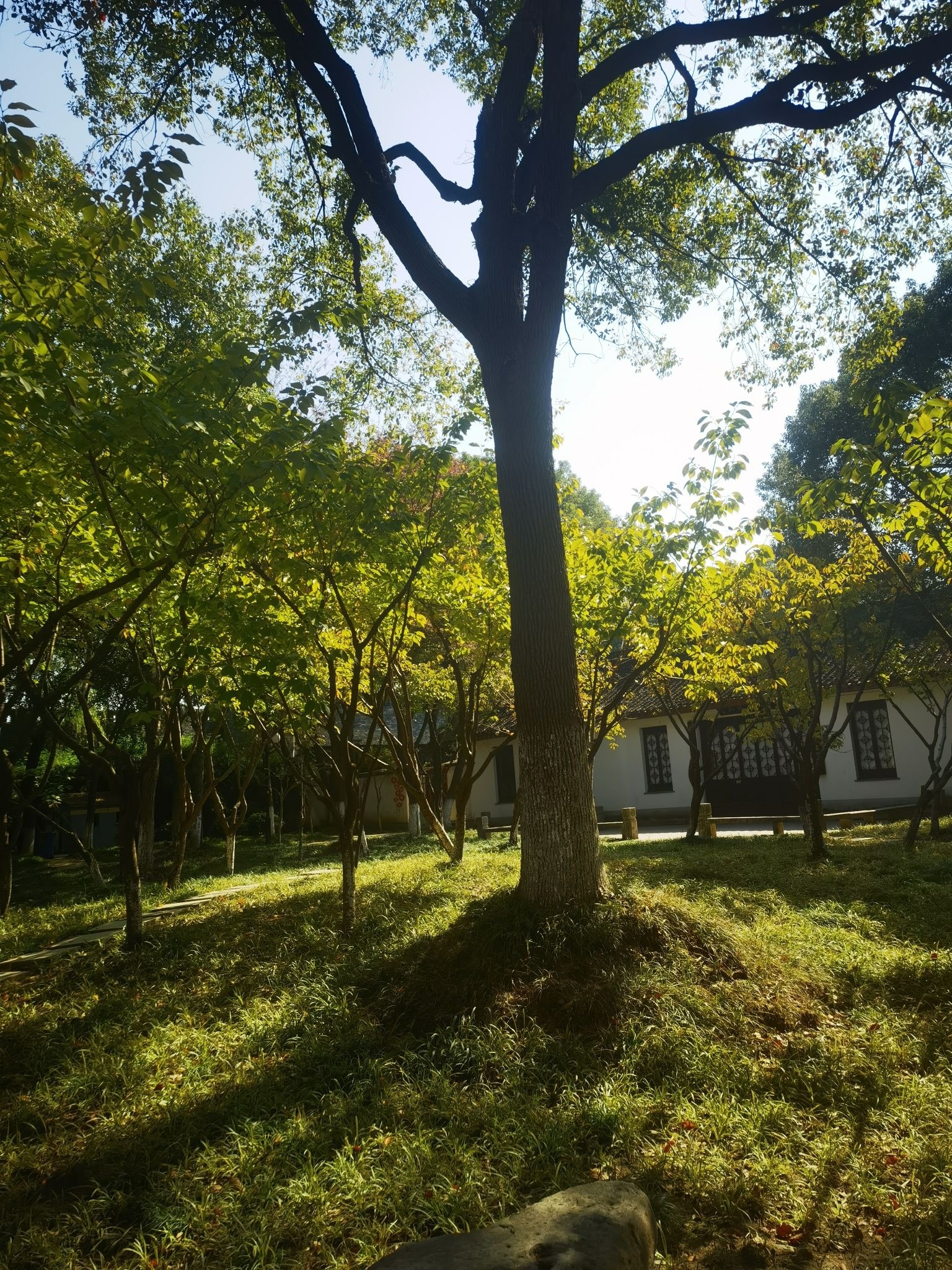 百花洲公园