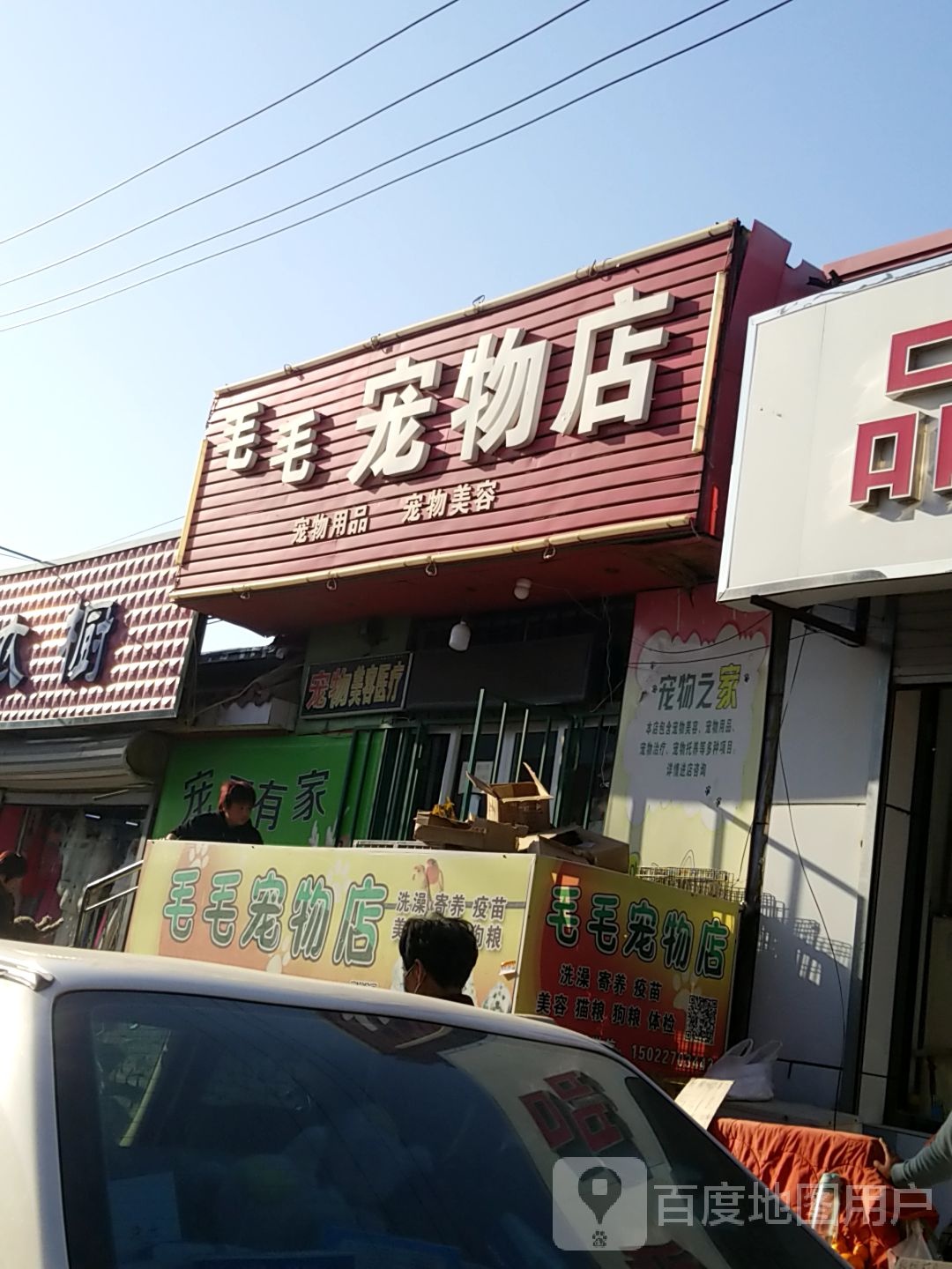 毛毛宠物店