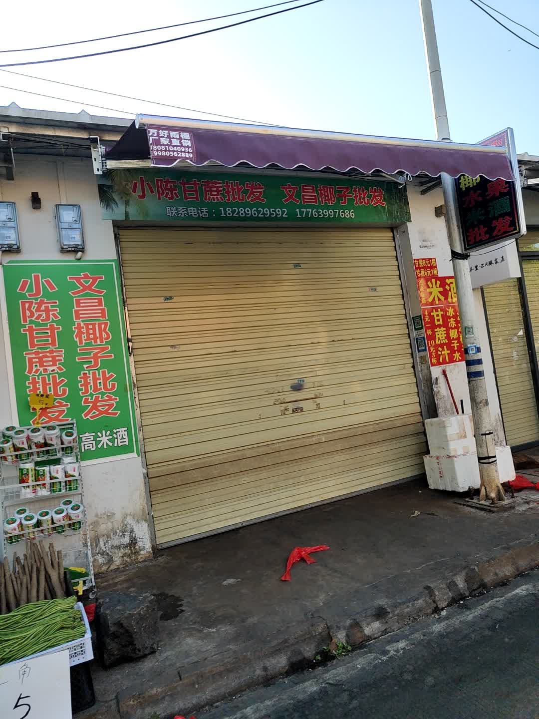 小陈甘蔗批发文昌椰子批发