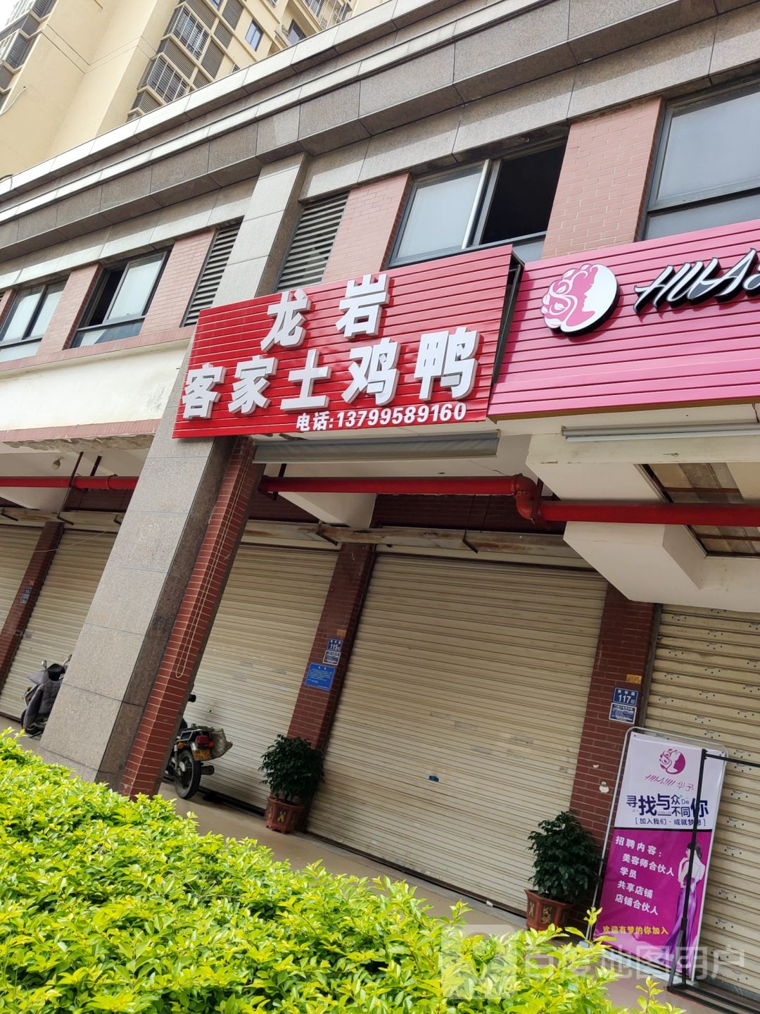 龙源客家土鸡鸭
