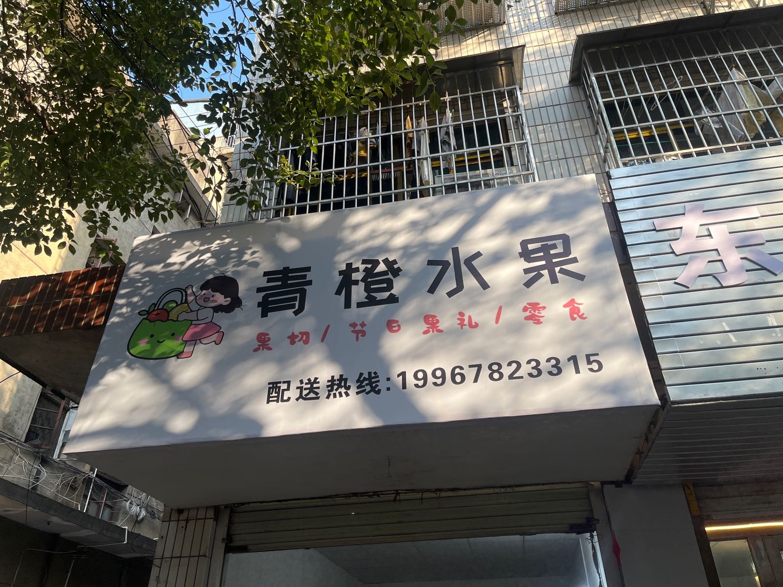 青橙水果